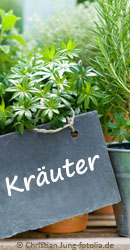 Blogparade: Küchenkräuter